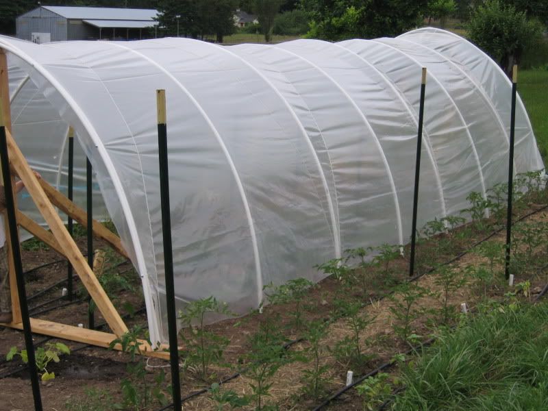 Hoop House (before end walls)