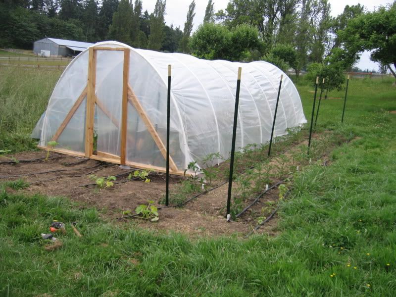 Hoop House (before end walls)