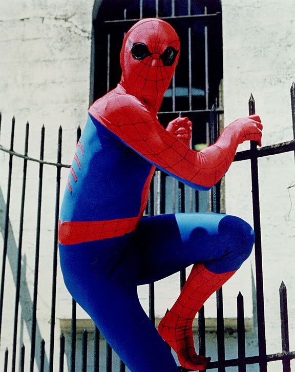 1970s_spiderman_03.jpg