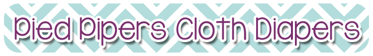 Pied Piper's Cloth Diapers