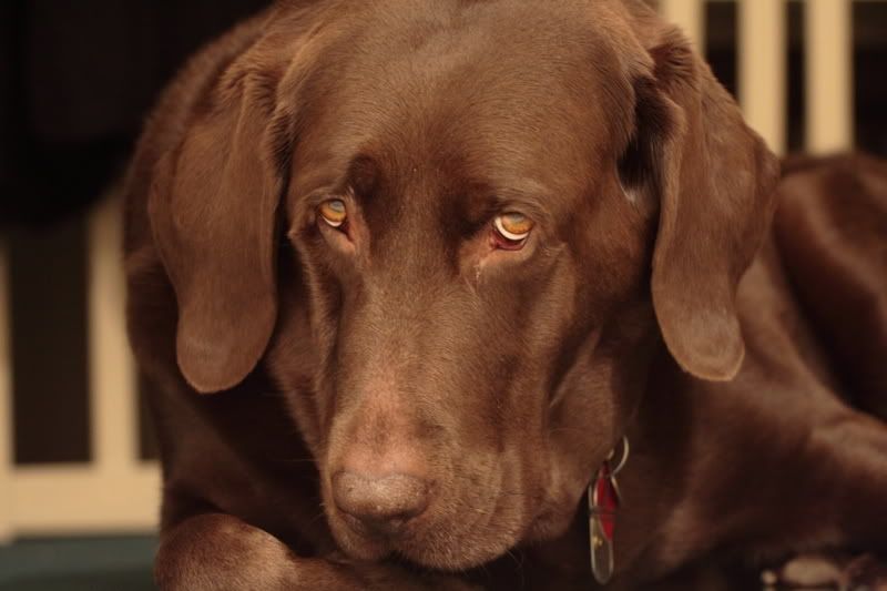 IMAGE: http://i64.photobucket.com/albums/h190/eeeksNYC/PhotogOnTheWeb/70200test.jpg