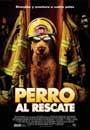 Perro Al Rescate