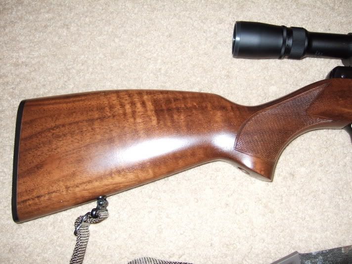 cz1151
