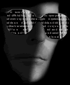Programer.gif hacker image by theropingeffect