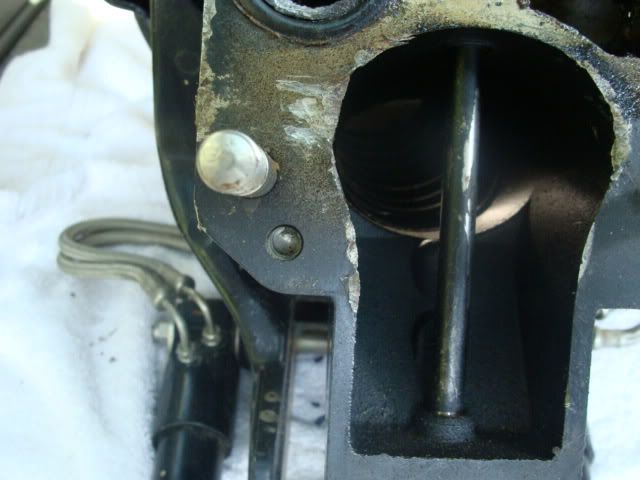 DSC02912.jpg
