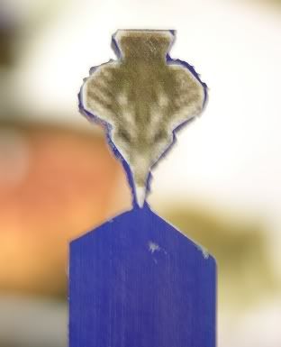 BeesCutOut.jpg