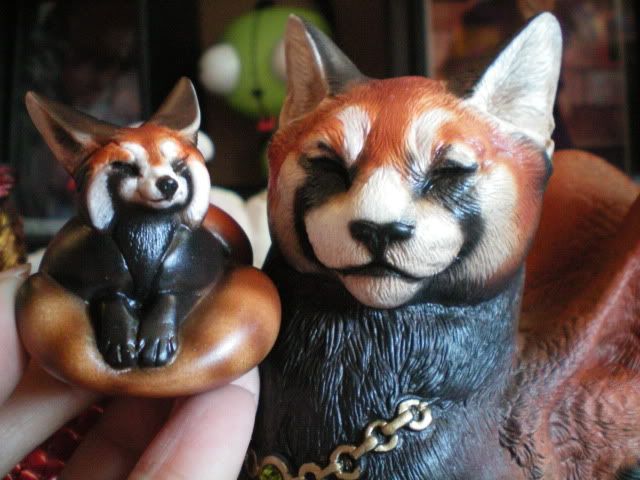  photo RedPandaCuteness2.jpg