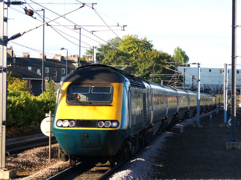 43043.jpg