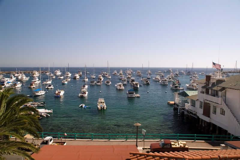avalonharbor.jpg