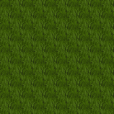 grass2_zpsde0ef803.png