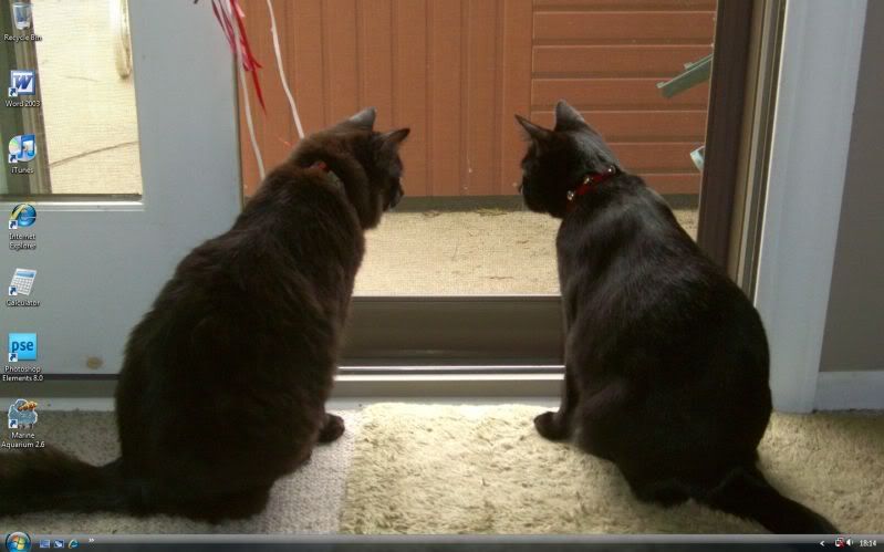 glock wallpaper. Desktop wallpaper thread!