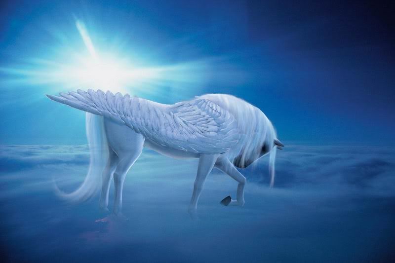 Unicorn~of~Hope Avatar
