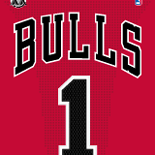 Bulls1Rev30.png