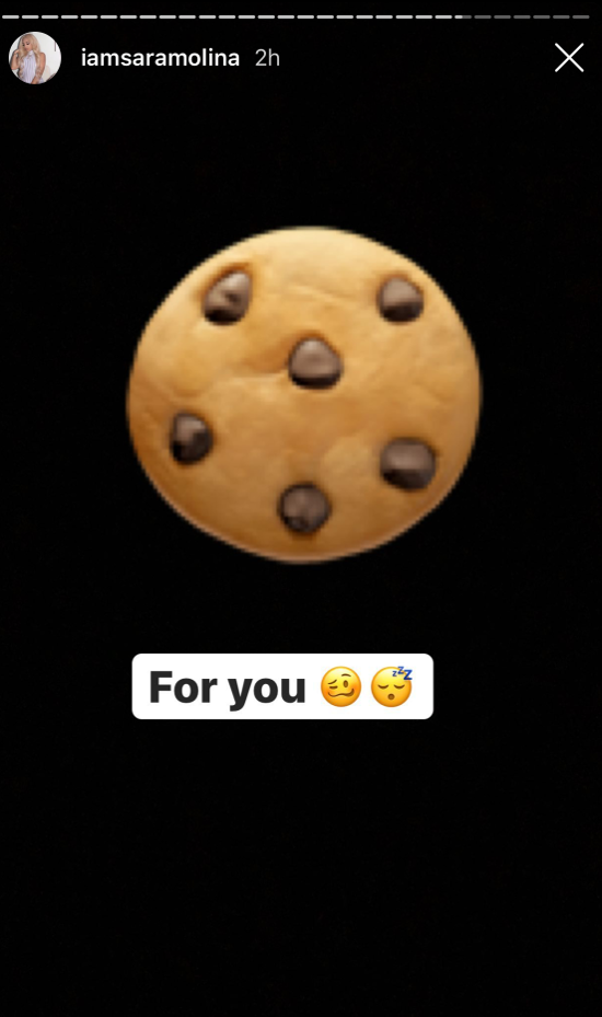  photo futuresara10.png