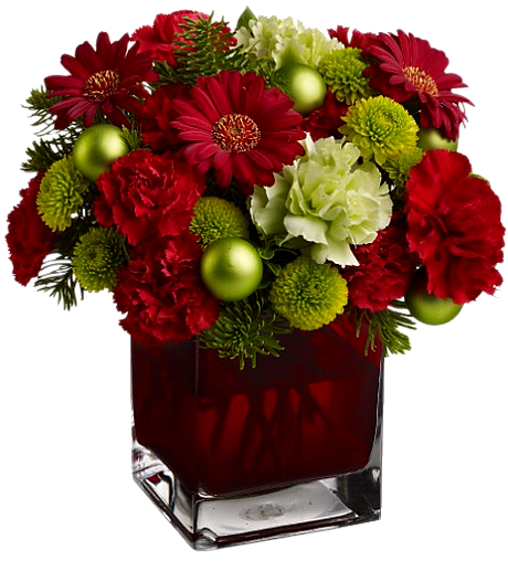 http://i64.photobucket.com/albums/h192/gozdeforumdunyasi_can_asli/64085874_1284635274_CAJSCRFR_TUBE_PSP_FLEUR_NOEL_9_zpsdaf61e10.png