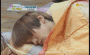 sleepy
